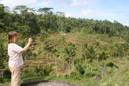 Sawa&#039;s richting Ubud